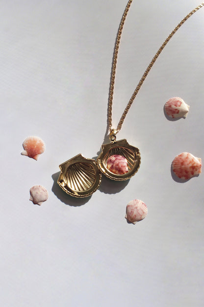 seashell locket