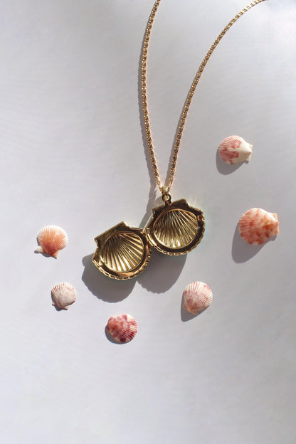 seashell locket