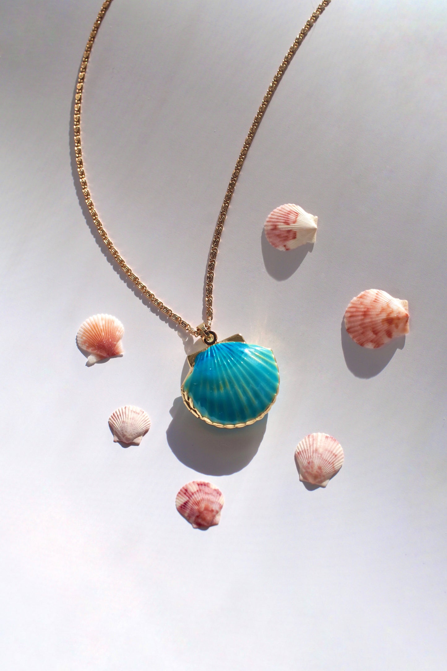 seashell locket